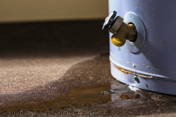 Best Sewage cleanup and water damage restoration  in Brusly, LA