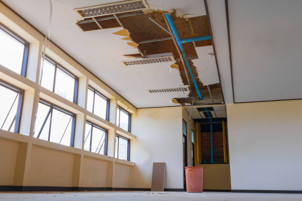 Best Water damage restoration process  in Brusly, LA