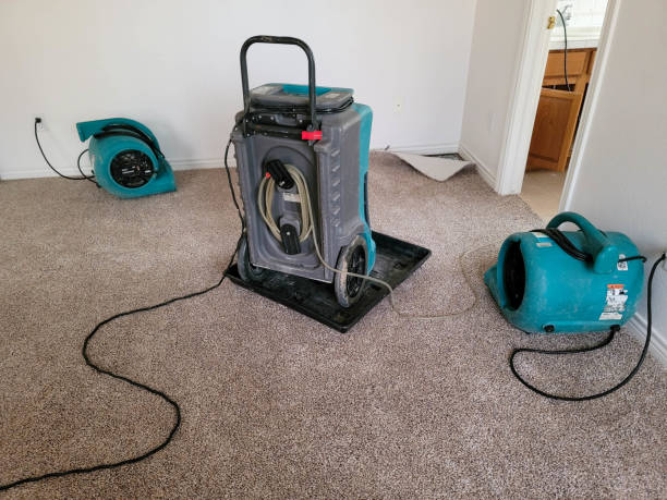 Best Water damage restoration insurance claims  in Brusly, LA