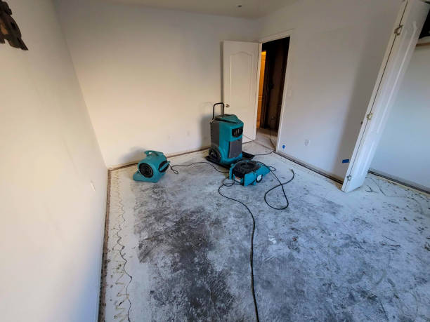 Best Flood restoration services  in Brusly, LA