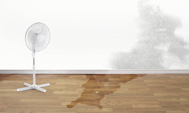 Best Residential water damage restoration  in Brusly, LA
