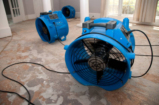 Best 24/7 water damage repair  in Brusly, LA