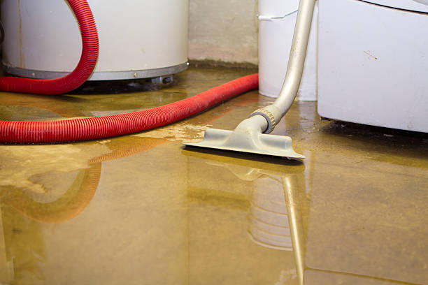 Local water damage restoration in LA