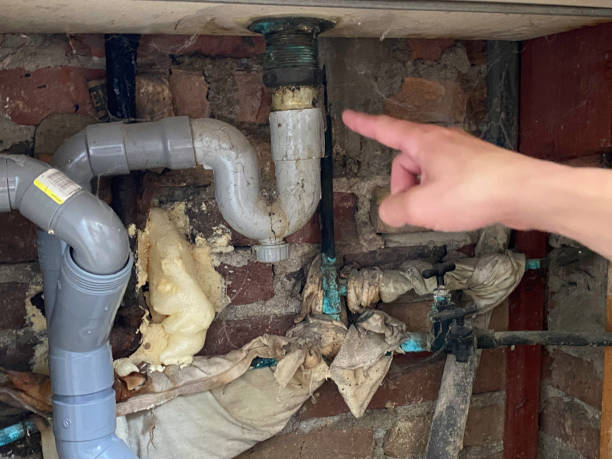 Best Mold removal after water damage  in Brusly, LA