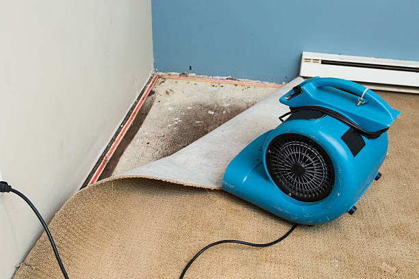 Best Water damage restoration near me  in Brusly, LA