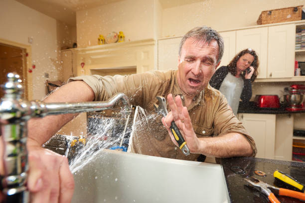 Best Flooded house restoration  in Brusly, LA